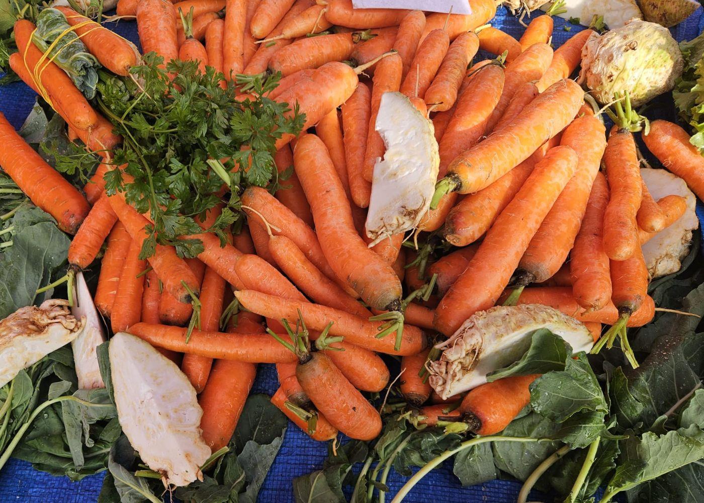 Biram Sebe; BiramZdravlje.hr