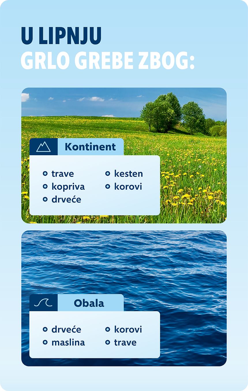 alergy calendar